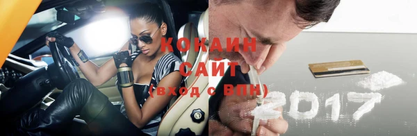 ГАЛЛЮЦИНОГЕННЫЕ ГРИБЫ Абаза