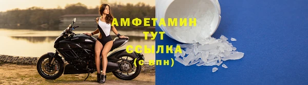 ГАЛЛЮЦИНОГЕННЫЕ ГРИБЫ Абаза