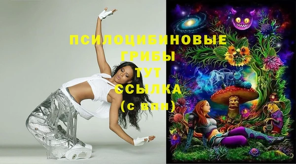 ГАЛЛЮЦИНОГЕННЫЕ ГРИБЫ Абаза