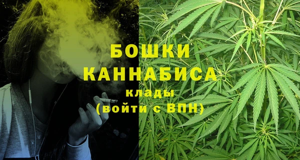 ГАЛЛЮЦИНОГЕННЫЕ ГРИБЫ Абаза